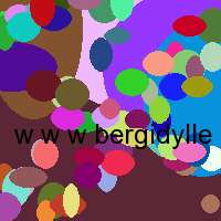 w w w bergidylle hotel at