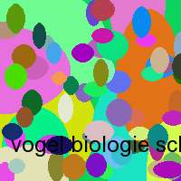 vogel biologie schule